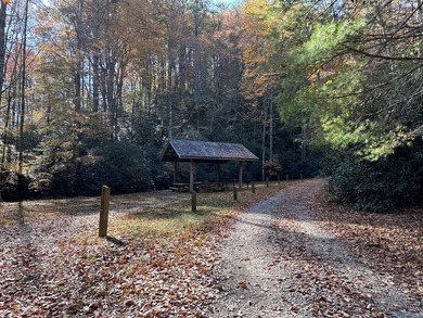 Discover the possibilities with this 8.07-acre mountain property - photo 29