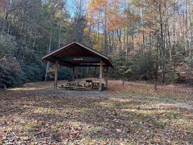 Discover the possibilities with this 8.07-acre mountain property - photo 30