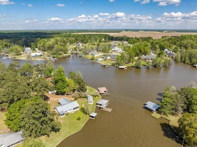 AWESOME WATER FRONT LOT ON LAKE BLACKSHEAR!!! Large 1.98 acre - photo 3