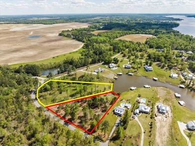 AWESOME WATER FRONT LOT ON LAKE BLACKSHEAR!!! Large 1.98 acre - photo 7