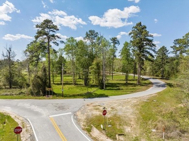 AWESOME WATER FRONT LOT ON LAKE BLACKSHEAR!!! Large 1.98 acre - photo 10