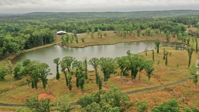 Still Mac Farm is a custom barndominium estate on 97 +/- acres - photo 44