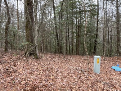 Whisper Lake Lot For Sale in Sapphire North Carolina
