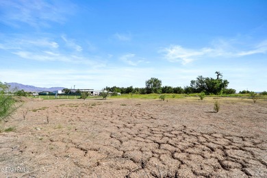Stunning 5-bedroom ranch-style home offering the perfect blend