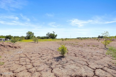 Stunning 5-bedroom ranch-style home offering the perfect blend