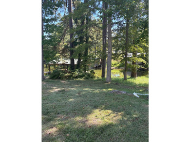Toledo Bend Lake Getaway! This 3 bedroom, 2 bath home in - photo 6