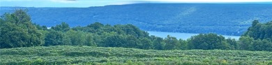 Canandaigua Lake Acreage For Sale in Naples New York