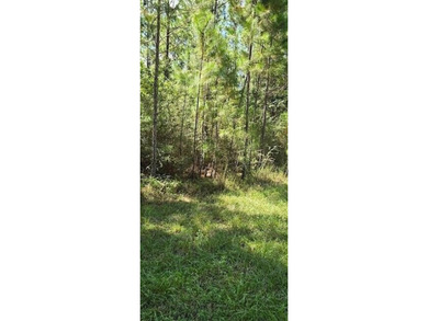 Blackwater River Lot For Sale in Milton Florida