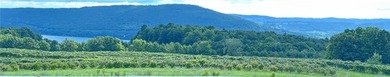 Great location above Canandaigua Lake! No information on - photo 2