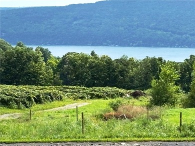 Great location above Canandaigua Lake! No information on - photo 3