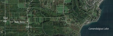 Great location above Canandaigua Lake! No information on - photo 5