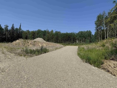 Lake Lot For Sale in Fairbanks, Alaska
