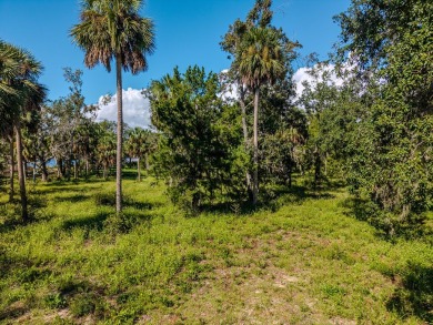 Tucked away in Jena, this 5.43-acre tract made up of three - photo 22