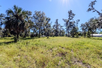 Tucked away in Jena, this 5.43-acre tract made up of three - photo 28