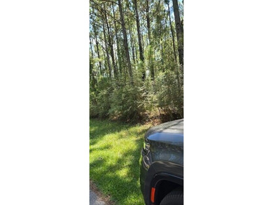 Blackwater River Lot For Sale in Milton Florida