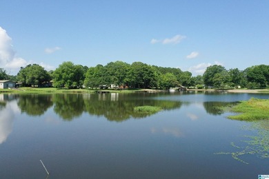 Escape to lake living with this charming waterfront home on - photo 45
