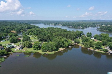 Escape to lake living with this charming waterfront home on - photo 49