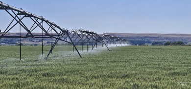 (private lake, pond, creek) Acreage For Sale in Emmett Idaho