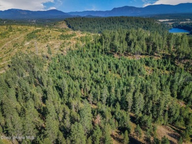 Lake Acreage For Sale in Athol, Idaho