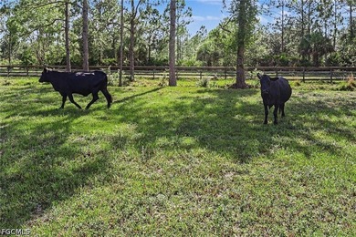 BEE BRANCH RANCH - OWN YOUR OWN 160 ACRE *YELLOWSTONE* Ranch! - photo 45