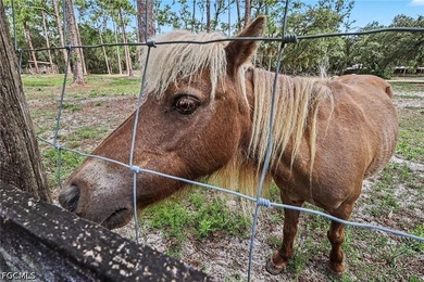 BEE BRANCH RANCH - OWN YOUR OWN 160 ACRE *YELLOWSTONE* Ranch! - photo 46