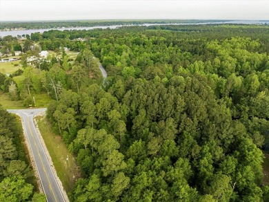 HUGE 2 acre lot (outlined in red in photos) on corner of Scenic - photo 5