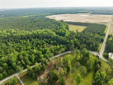 HUGE 2 acre lot (outlined in red in photos) on corner of Scenic - photo 8