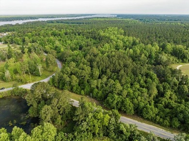 HUGE 2 acre lot (outlined in yellow in pictures) next one down - photo 6