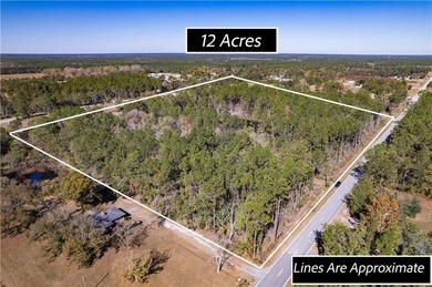 (private lake, pond, coastal) Acreage Active Under Contract in Waycross Georgia