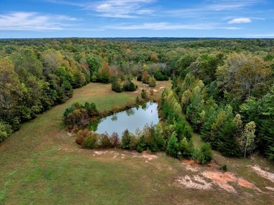 (private lake, pond, coastal) Home For Sale in Burkeville Virginia