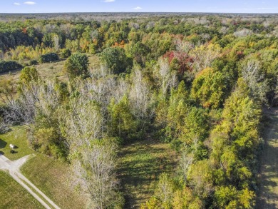 Lake Acreage For Sale in Belleville, Michigan