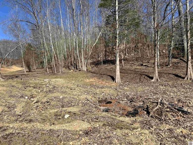 Waterfront lots on Lake Barkley offering approximately 1.63 - photo 17
