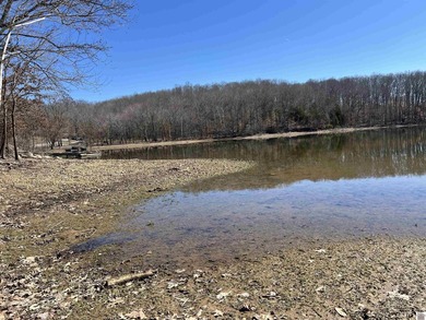 Waterfront lots on Lake Barkley offering approximately 1.63 - photo 19