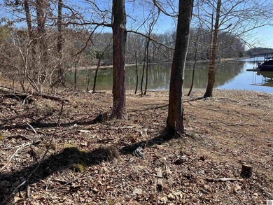 Waterfront lots on Lake Barkley offering approximately 1.63 - photo 29
