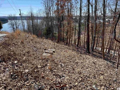 Waterfront lots on Lake Barkley offering approximately 1.63 - photo 30
