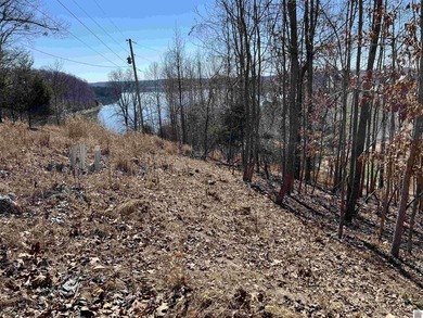 Waterfront lots on Lake Barkley offering approximately 1.63 - photo 32