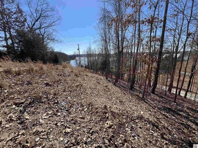 Waterfront lots on Lake Barkley offering approximately 1.63 - photo 33