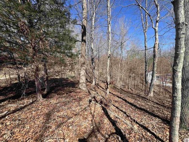 Waterfront lots on Lake Barkley offering approximately 1.63 - photo 35
