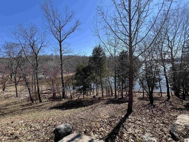 Waterfront lots on Lake Barkley offering approximately 1.63 - photo 37