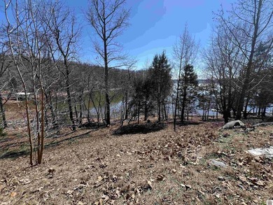 Waterfront lots on Lake Barkley offering approximately 1.63 - photo 38