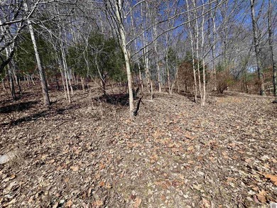 Waterfront lots on Lake Barkley offering approximately 1.63 - photo 39