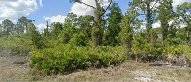 Lehigh Acres Area Lot For Sale in Lehigh Acres Florida
