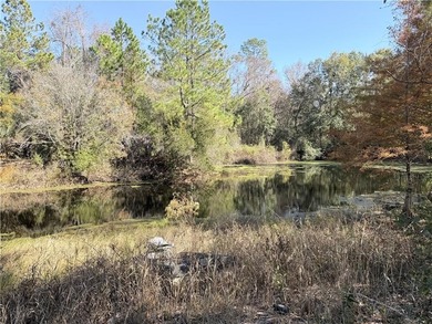 (private lake, pond, coastal) Acreage For Sale in Waycross Georgia
