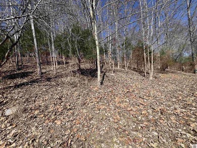 Waterfront lots on Lake Barkley offering approximately 1.63 - photo 41