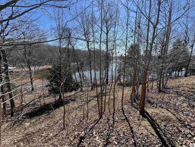 Waterfront lots on Lake Barkley offering approximately 1.63 - photo 42
