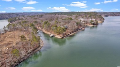 Discover your dream waterfront retreat on Lake Hamilton! This - photo 44