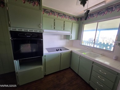 Topaz Lake Home For Sale in Wellington Nevada