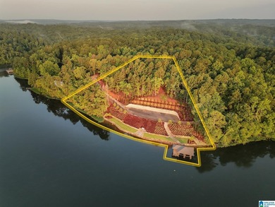 One of the largest waterfront lots on Lake Mitchell has - photo 5