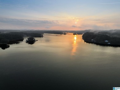 One of the largest waterfront lots on Lake Mitchell has - photo 10