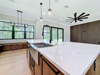 Virtually Staged. Luxury Custom Estate Home in Blue Spring - photo 28